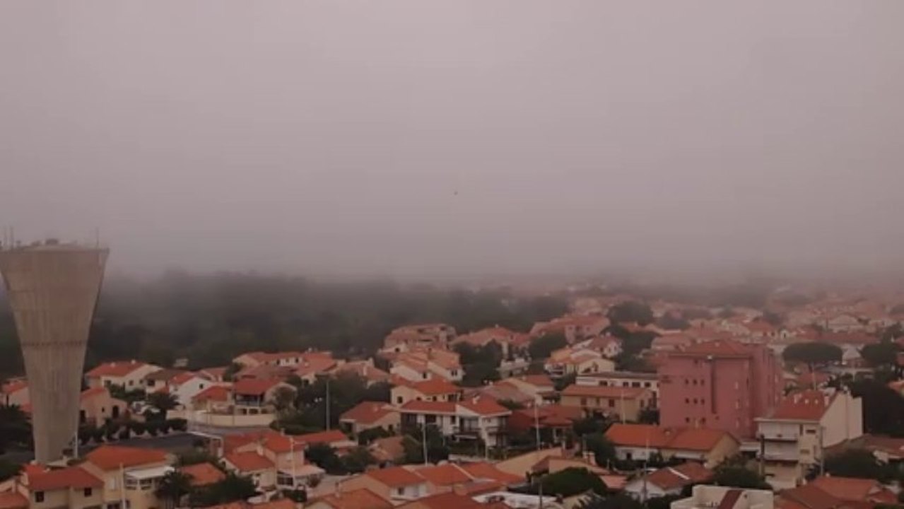 Entrées Maritime - Canet en Roussillon 66