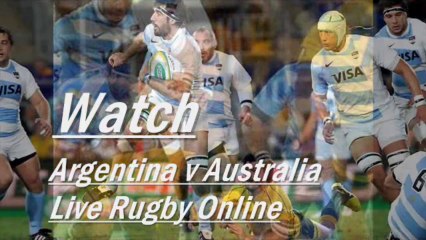 Watch Argentina vs Australia Live Rugby