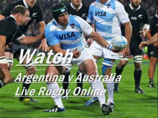 Stream Now Rugby Championship Argentina vs Australia