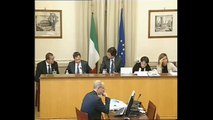 Roma - Audizione del Capo del Corpo forestale dello Stato (03.10.13)