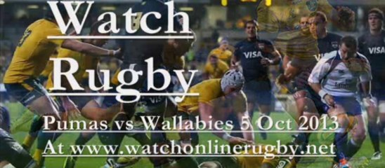 Australia vs Argentina Live Rugby