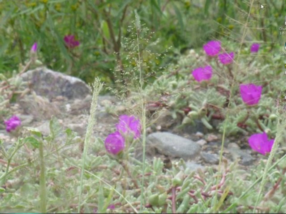 Half Life Logo Creator Tutorial [Counter Strike 1.6]