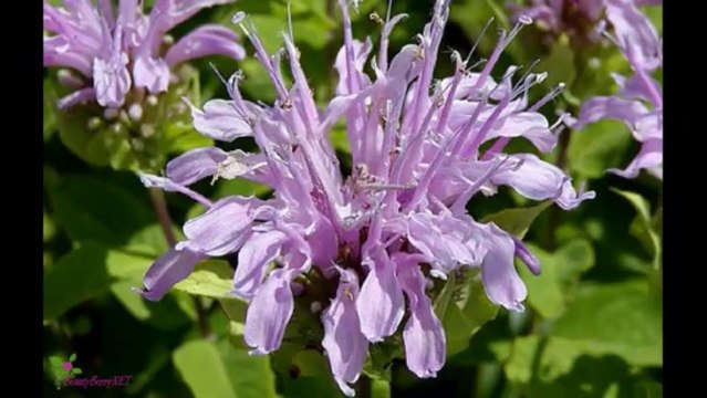 Carolina Herrera 212 Sexy Eau de Parfum Spray