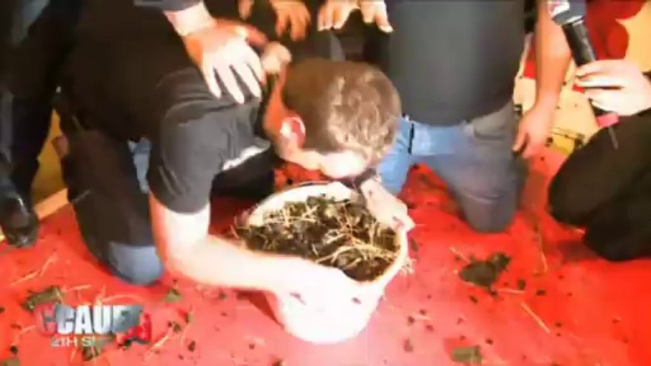 Des claques à la bouze de vache au Salon de l'Agriculture - C'Cauet sur NRJ