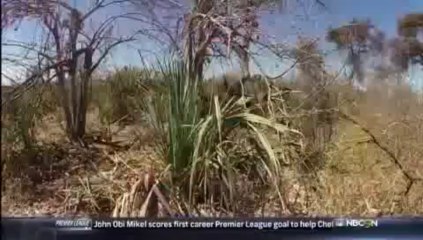 NBC cancels hunting show after NRA lobbyist shoots elephant in face