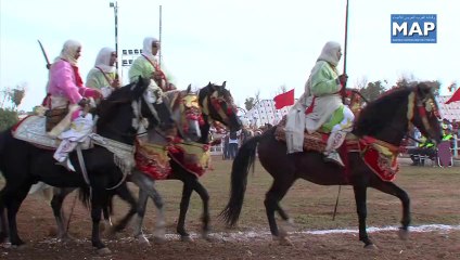 تتواصل فعاليات الدورة السادسة لمعرض الفرس بالجديدة، يوم الخميس3 أكتوبر 2013 و ذلك بتنظيم عروض في فنون الفروسية التقليدية المعروفة بالتبوريدة.