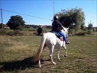 Douchka marie anne monte fin juillet