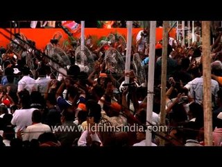 BJP gathers lakhs for Vikas rally by Modi at Japanese Park, Delhi