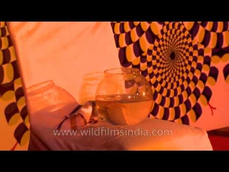 Appealing Tricks By Magician : at Dilli Haat Magic Fest