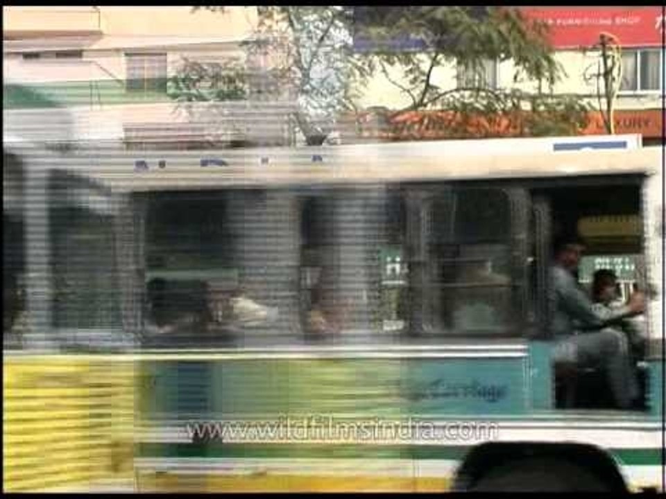'Killer' Blueline buses should not return