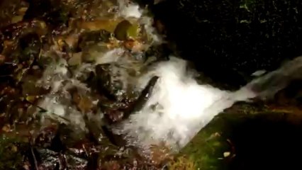 Stream 3 - Free HD stock footage