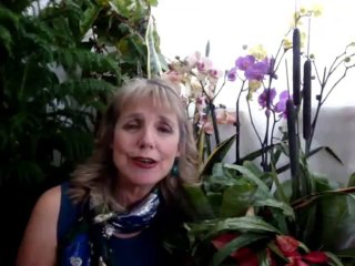 Longevity Garden Free Tree Part 2