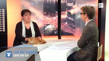 Le chat chouchou des Français