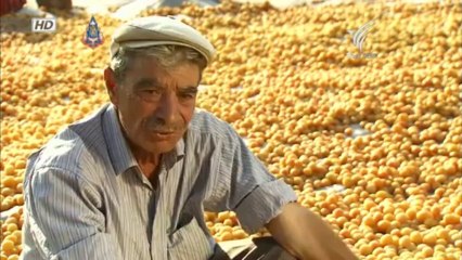 โลก 360 องศา - อานาโตเลีย ดินแดนแอปปริคอต 4Oct13