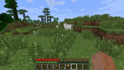 Minecraft - Tuto [1] Le début de l'aventure