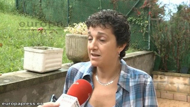 Un nido de avispas asiáticas en un barrio de Irún