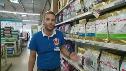 Le business des aliments pour animaux de compagnie explose en France