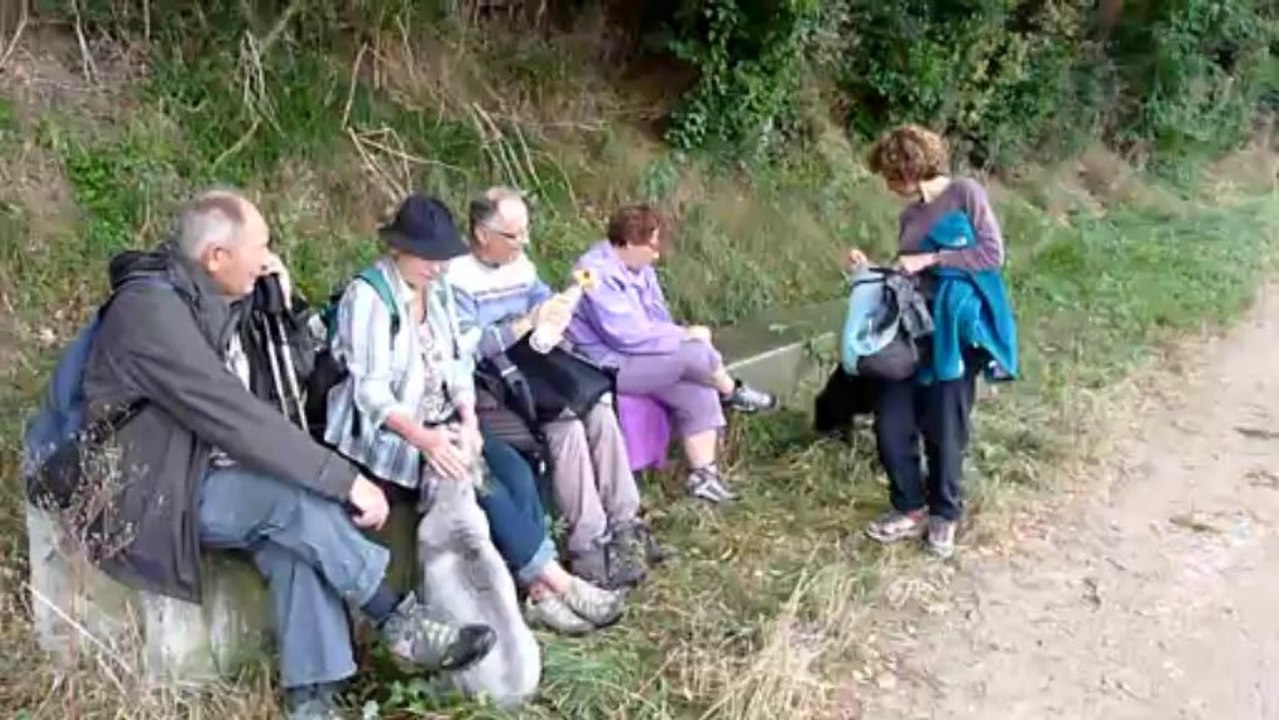 Les six de Flourens