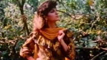 Husein Ki Lawn Parrot Jungle 1984 PTV Classics
