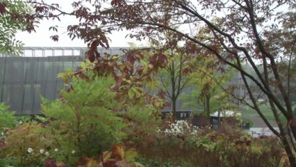 Fifa se posiciona sobre polêmica ‘escravidão’ no Catar