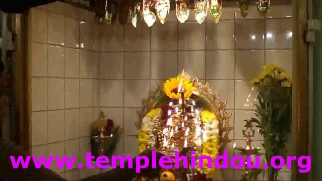 Fete de Ganesh 2013 - Rillieux la Pape ( Lyon )