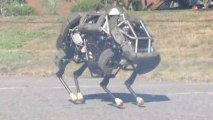 Realistic and Terrifying Robot Cat Can Run 16mph