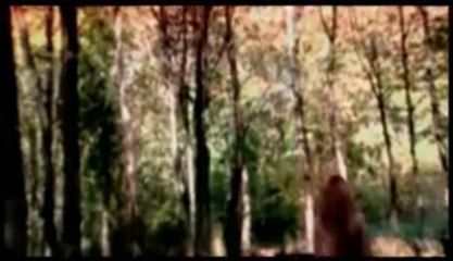 Aşkın Nur Yengi     -  Yalancı Bahar