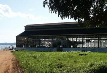 The Rise And Fall Of Fordlandia