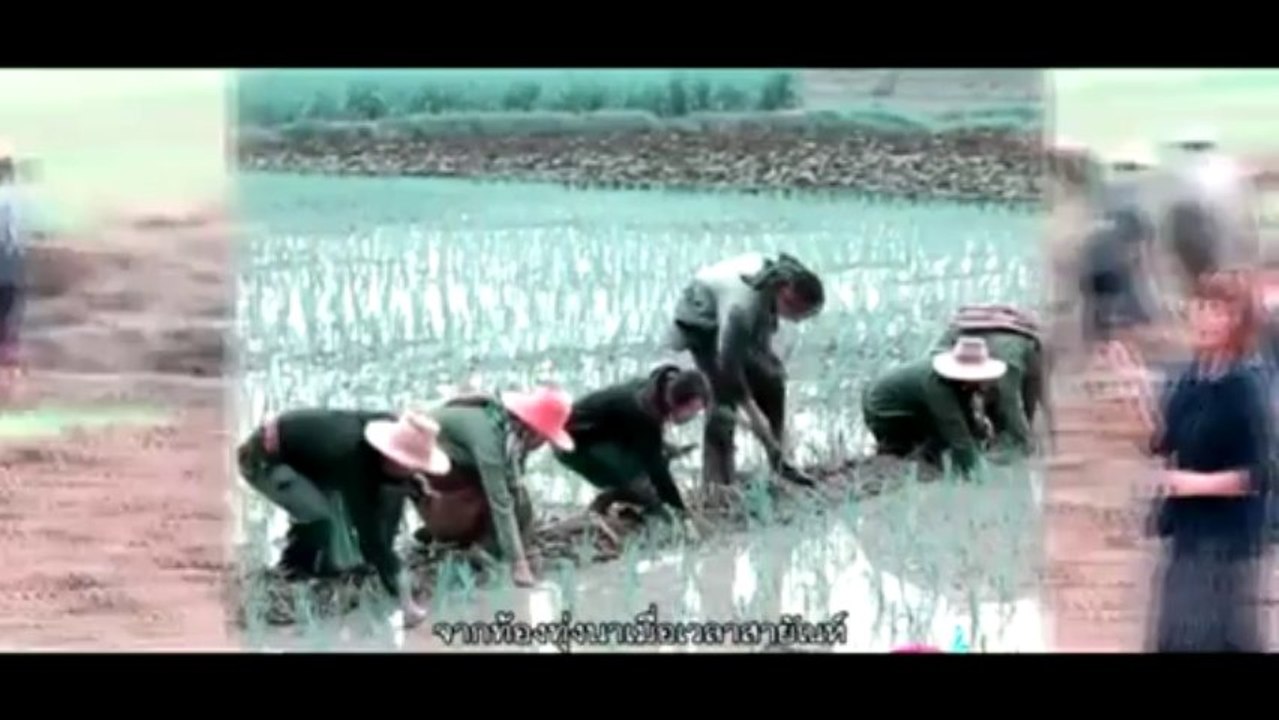 สาวชาวนาครวญ - ศิริพร อำไพพงษ์.Official MV