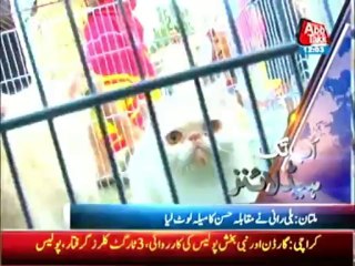 AbbTakk Headlines - 1200 AM - 05 October 2013