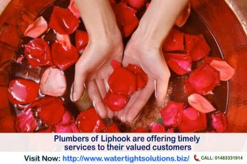 Plumbers in Kingston