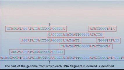 What's Next for the Human Genome? Low-Cost DNA Mapping