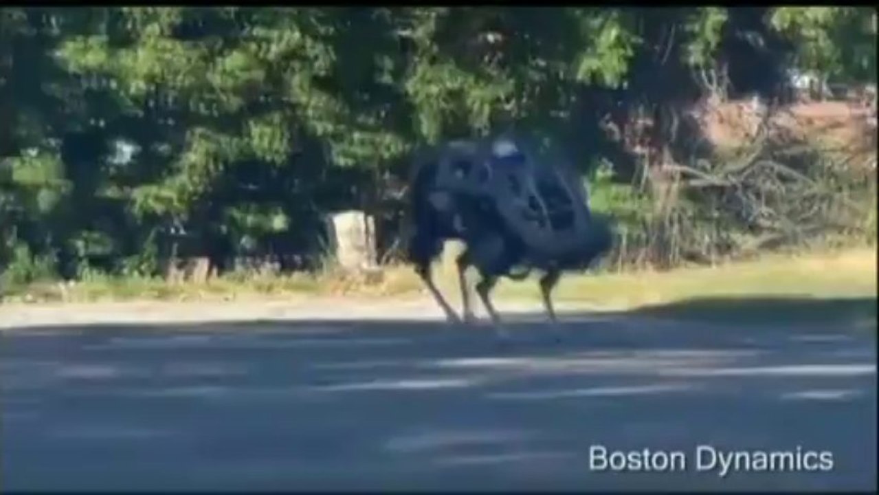 Wildcat, le (nouveau) robot le plus rapide du monde