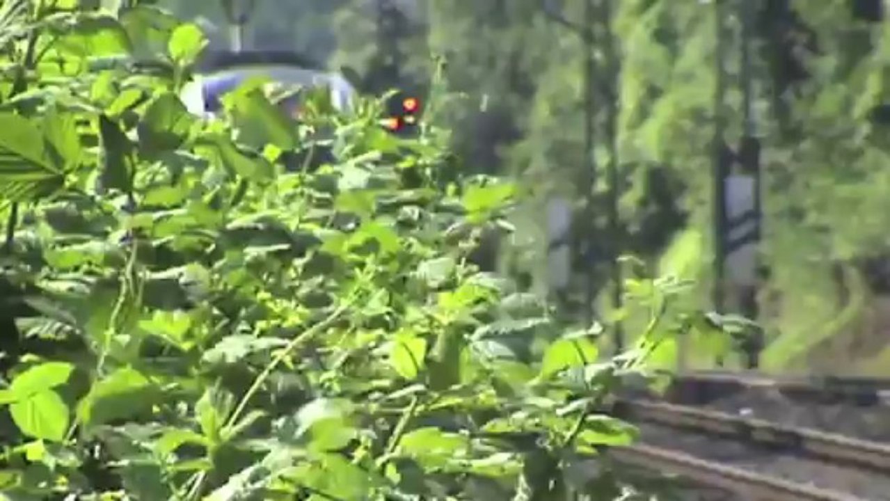 Züge zwischen Sinzig und Bad Breisig, AT Crossrail 185, 2x ICE T BR411, 4x 101, 3x 146, 3x 460