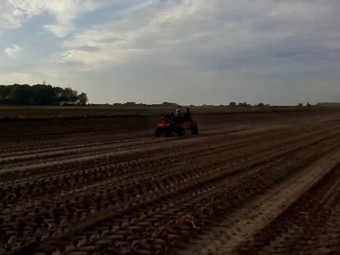 Glaner les patates, c'est mieux en quad !!! Adrien, Antoine et Emma ! 2