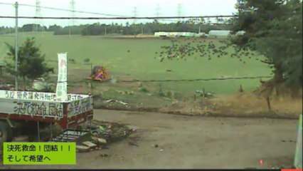 2013-09-14 16-58　ナナちゃん、ガガちゃん、いちごちゃん？