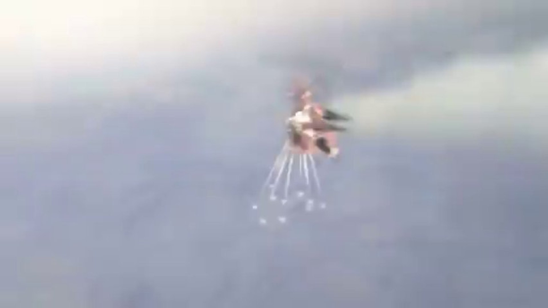 How to stop a barking dog Black ops style