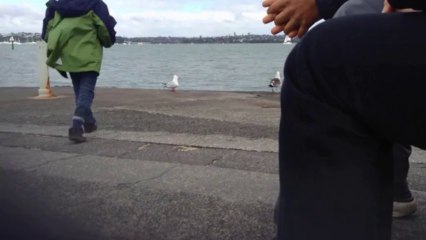 ニュージーランドで就職内定取りました。