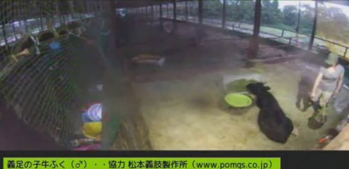20130915　ふくちゃん移動　ありりさん、男性ボラさん