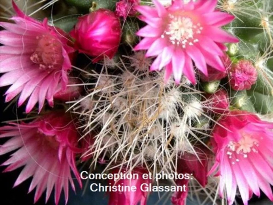 JACQUES HUSTIN " LA PROVINCE"