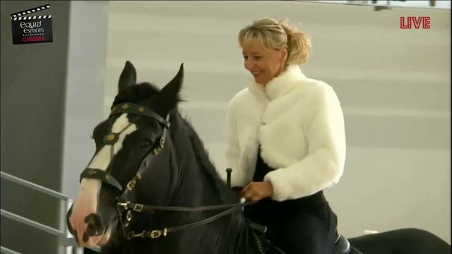 Étalon Shire – Equid Espaces 2013 – La passion du Cheval à La Roche sur Foron