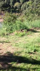 travaux maison d'Ania