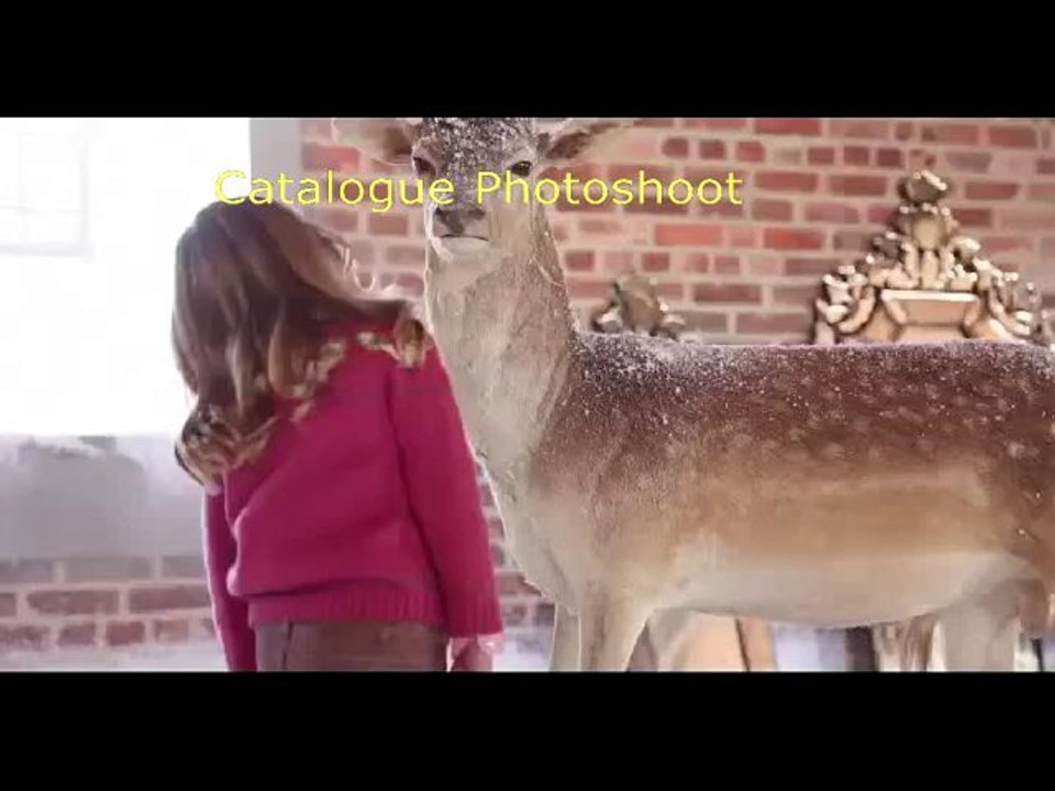 4- catalogue-bergere-de-france-english