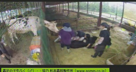 20130915　永澤さん、ようこちゃん他、ガガちゃん