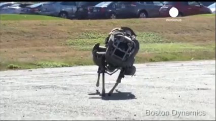 Ecco Wildcat, il robot più veloce del mondo