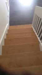 Habillage d'escalier