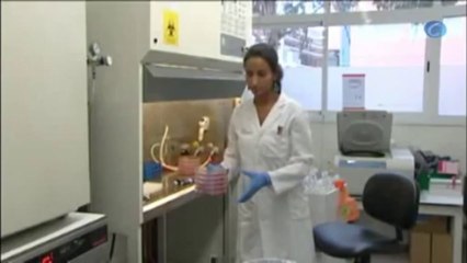 Un ensayo muestra la eficacia de un nuevo fármaco que inhibe el crecimiento tumores en el estómago