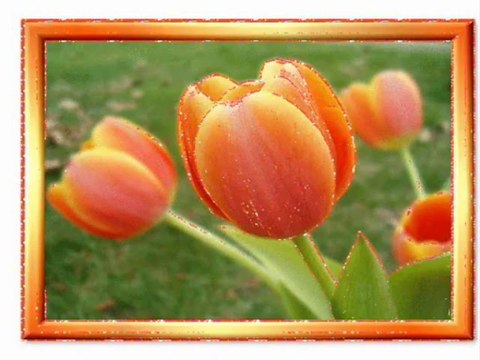 kurban bayramınız mübarek olsun-2