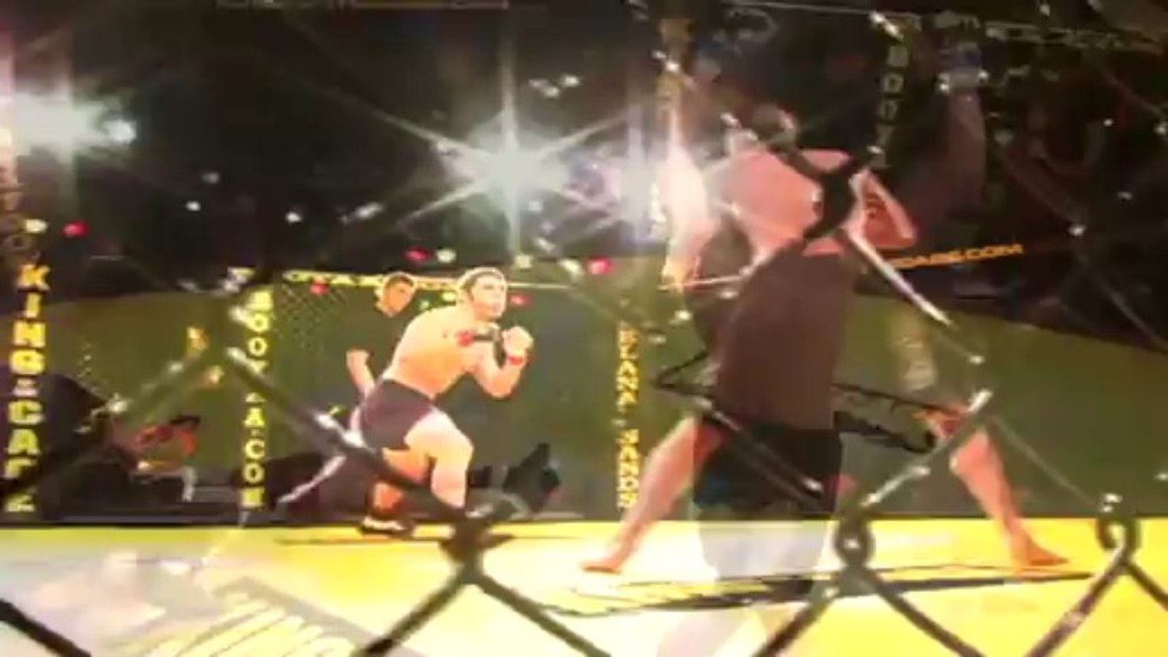 Headkick knockout