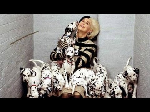 Thief shoves puppies down pants, smuggles them out of pet shop